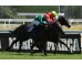  Carrera: P.Jose Antonio Rodriguez JAR Monta: R.N.Valle Caballo: Bruno